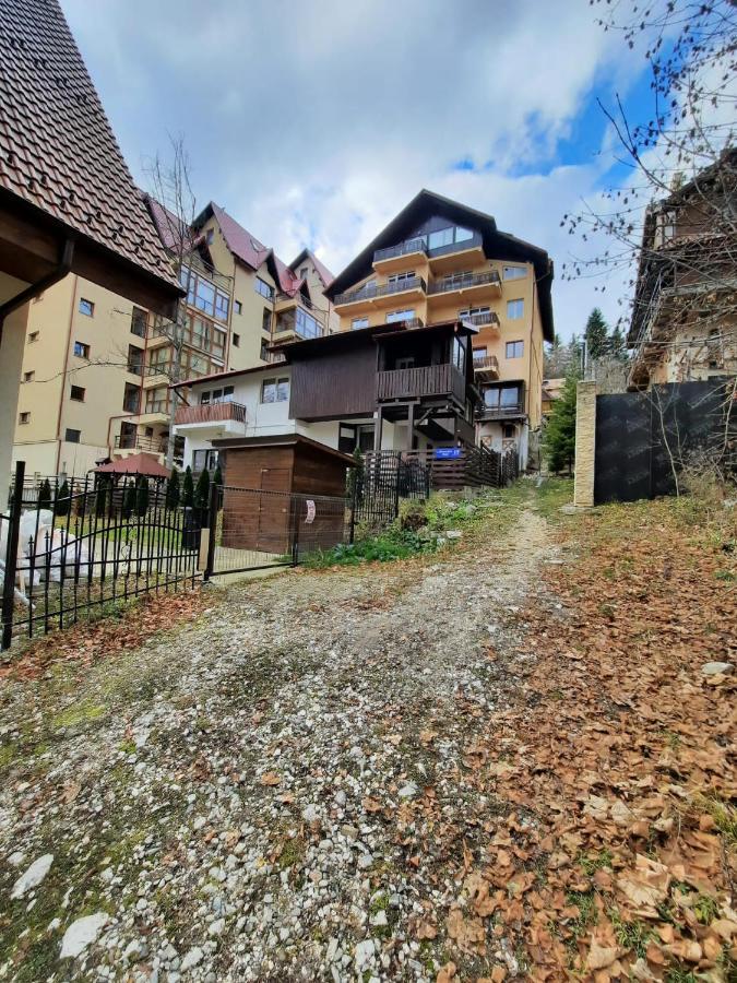 Studio Furnica Sinaia Eksteriør bilde